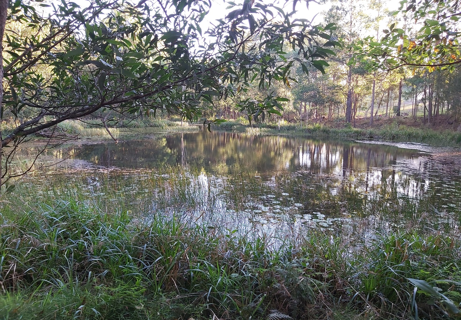 <span style="font-size:16px;"><span style="color:#000000;"><span style="background-color:#bdc3c7;">  CANT SEE THE FOREST ?  </span></span></span>